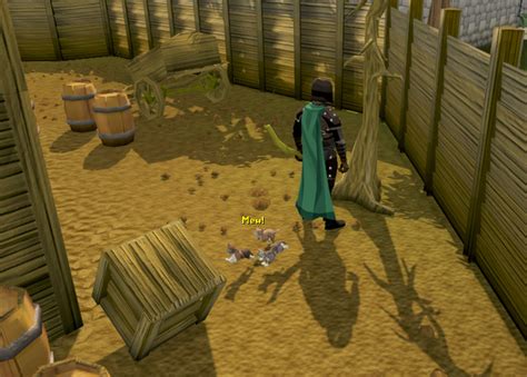 The crappy armor set is included in basic chest loot pool 1, 2. Gertrude's Cat - The RuneScape Wiki
