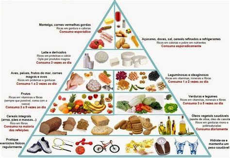 Educação Alimentar E Seus Desafios Na Contemporaneidade Brasileira VoiceEdu