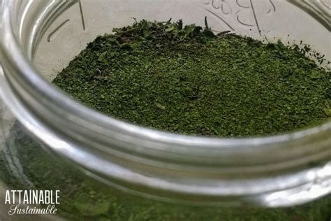 Vegan greens to stay healthy. How to Use Beet Greens (Instead of Composting Them)
