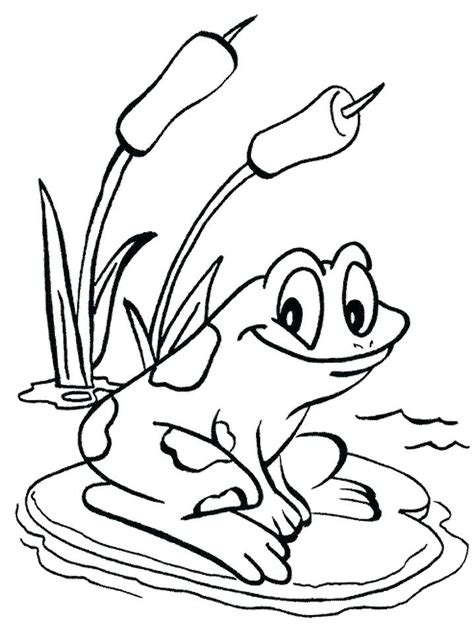 Tree Frog Coloring Page At Free Printable Colorings