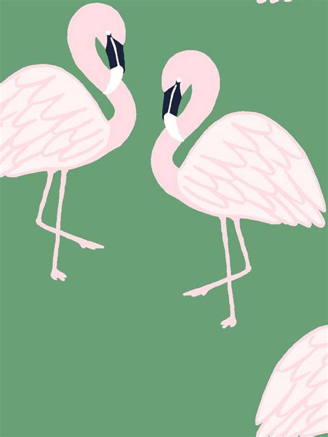 Flamingos Wallpaper By Tea Collection Green Removable Panel In