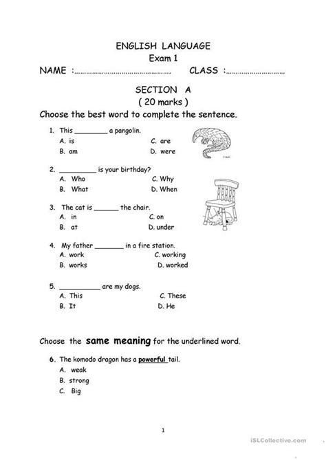  explain the study design (survey, interview, focus groups, etc.)  explain. Primary 3 Exam paper 1 (With images) | Навчання