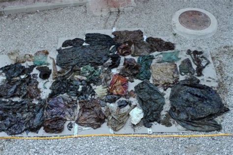 Was Plastik Anrichtet Toter Wal Vor Spanischer Küste Hatte Fast 30 Kilogramm Müll In Seinem