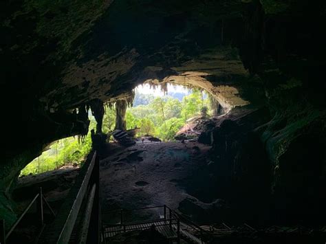 Niah Caves Miri 2019 All You Need To Know Before You Go With