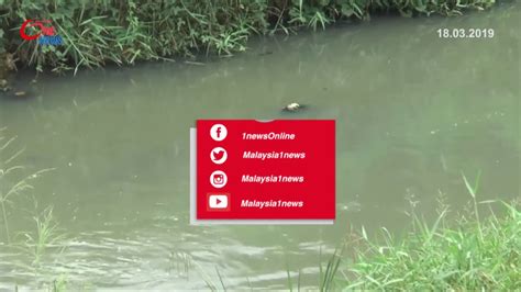 Bomba tidak terima aduan baharu pencemaran sungai. Pencemaran sungai kim kim: 4 masih di ICU - YouTube