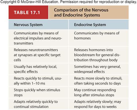 The Endocrine System Diagram Quizlet