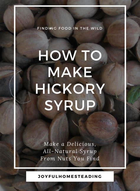 Uses For Hickory Nuts Survival Food Hickory Nut Recipes