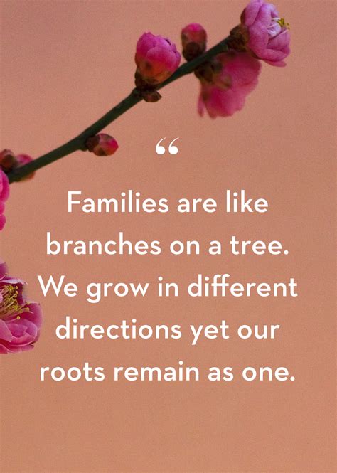 Read these fake family quotes that inspire you and teach some valuable. Best 100 Family Quotes of 2019 - Sharemash.com