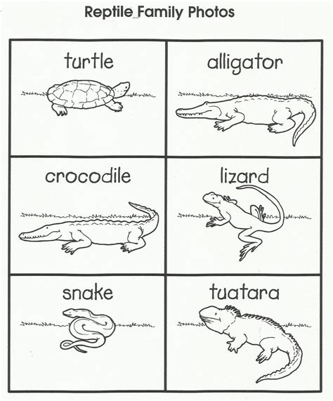 Simple Reptile Worksheets For Preschoolers Dr Seuss Math Activities