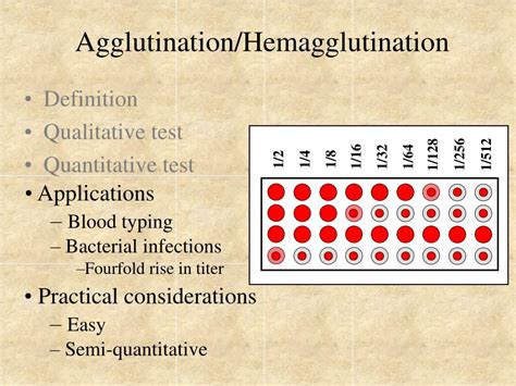PPT Agglutination Tests PowerPoint Presentation Free Download ID