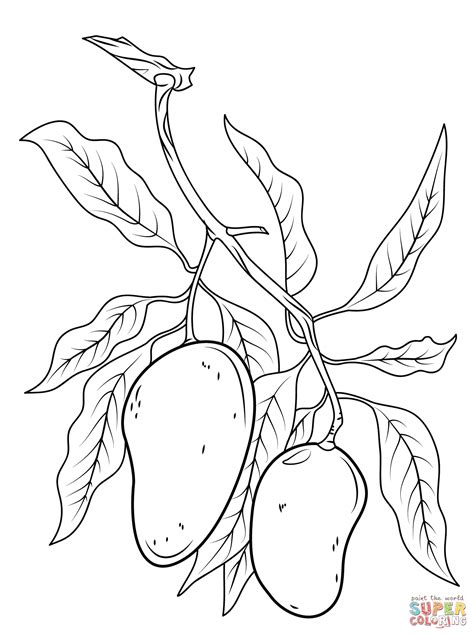 Coloring Mango Tree En 2020 Dibujos Ramas De Arbol Dibujo Ejercicios De
