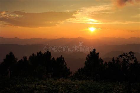 Landscpae Of Sunset At Pine Forest Thailand Stock Photo Image Of
