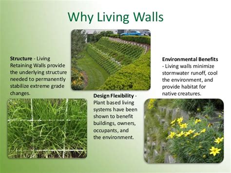Living Wall Systems Of Filtrexx V6