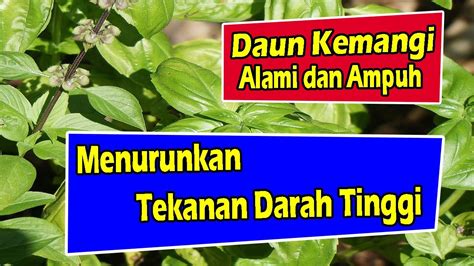 Dalam banyak kasus, selain sering merasakan sakit kepala dan kelelahan, tidak ada gejala lain yang. CARA MENURUNKAN TEKANAN DARAH TINGGI SECARA ALAMI DAN ...