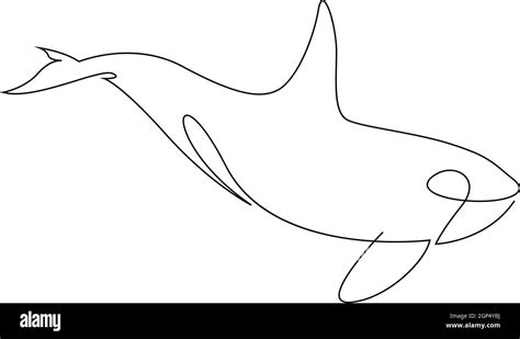 One Line Orca Silhouette Killer Whale Vector Illustration Stock Vector