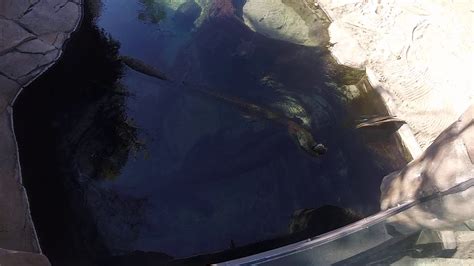 Epic date day, Zoo - YouTube