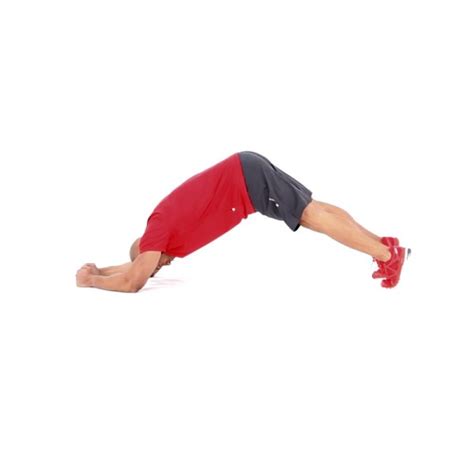 Plank Pikes Exercise Video Guide Muscle And Fitness