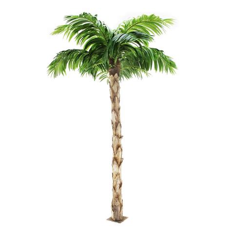 Premium Replica Peruvian Palm Tree 8ft Tall Artificial Indoor