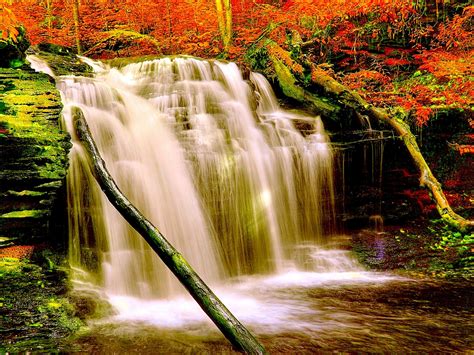 Autumn Forest Waterfall Nature Aiyumn Hd Background