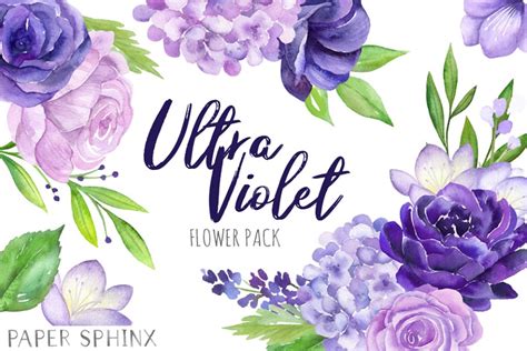 Watercolor Purple Flowers Custom Designed Illustrations Creative Market