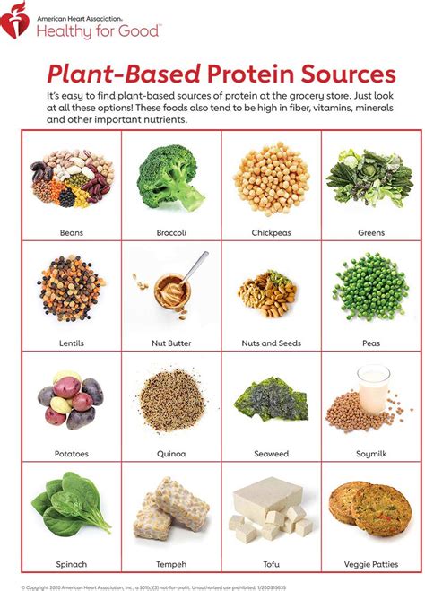 Plant Based Protein Infographic American Stroke Association