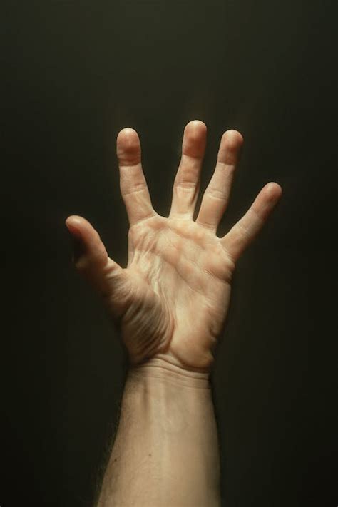 Close Up Photo Of A Left Hand · Free Stock Photo