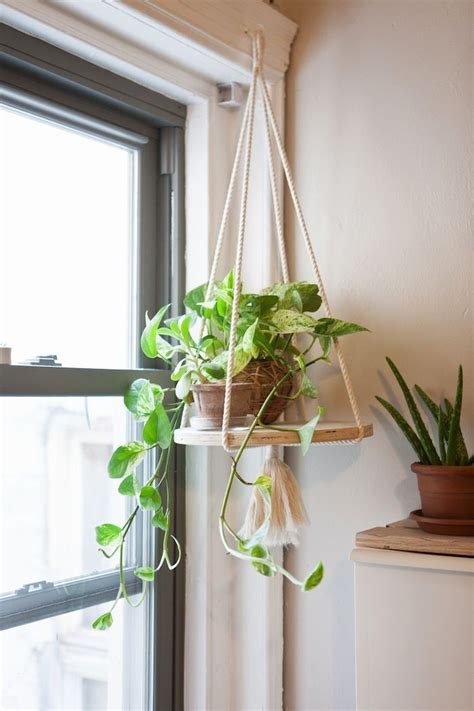 42 Great Ideas To Display Indoor Plant Hanging Plants Diy Window