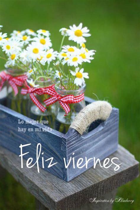 Imagenes-buenos-dias-viernes-bendicido-feliz-fin-de-semana-tarjetas