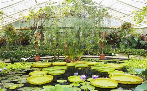 Explore the treasures of the world's rainforests in this iconic glasshouse. My Epic Visit To Kew Gardens | Flat 15 Design & Lifestyle
