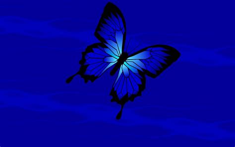 Blue Butterfly Wallpapers Wallpaper Cave