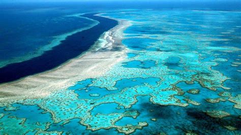 Great Barrier Reef From Above Australia Art Wallpaper Australian