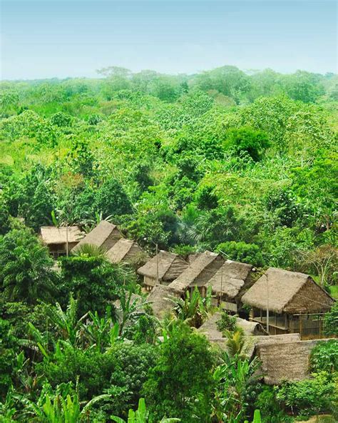 Uncontacted Amazon Isolated Tribes Of The Amazon Rainfo Telegraph