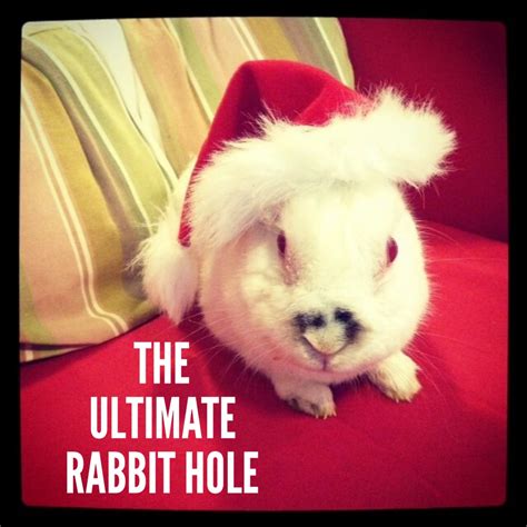 The Ultimate Rabbit Hole 96 The Annoyed Thyroid