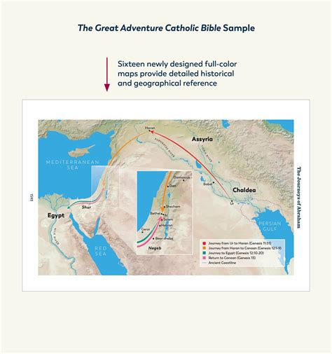 Rsv The Great Adventure Catholic Bible Softcover Cath