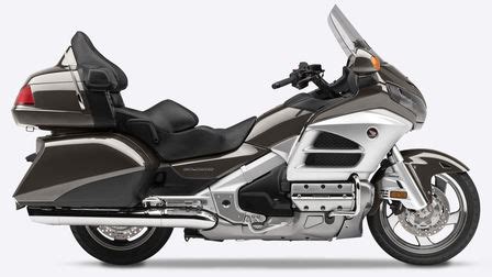 Does he like your bike? Motorcycling gear - Safety - Owners - Motorcycles - Honda