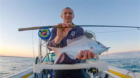 Saltwater Fly Fishing For Dhu Fish And Snapper Inshore Fishing