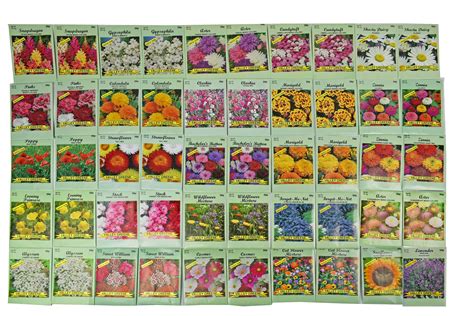 Set Of 50 Assorted Valley Green Flower Seed Packets Flower Seeds In