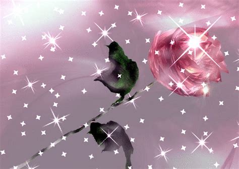 Pink Sparkle,Animated - Roses Photo (11033142) - Fanpop