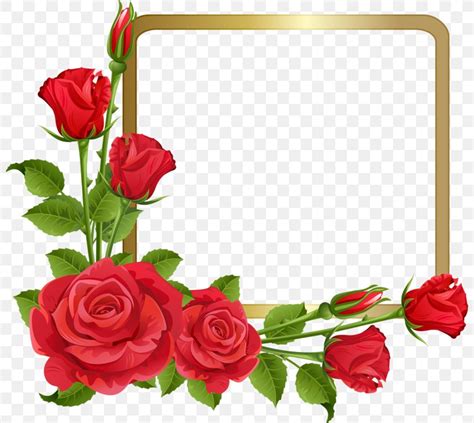 Rose Frames Flower Frame Png Floral Frame Clipart Rose Etsy In My Xxx