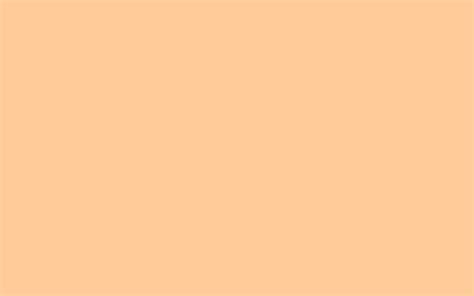 46 Peach Color Wallpaper Wallpapersafari