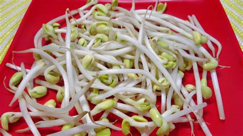 Simply Cooking And Health Quick Spicy Soybean Sprout Salad