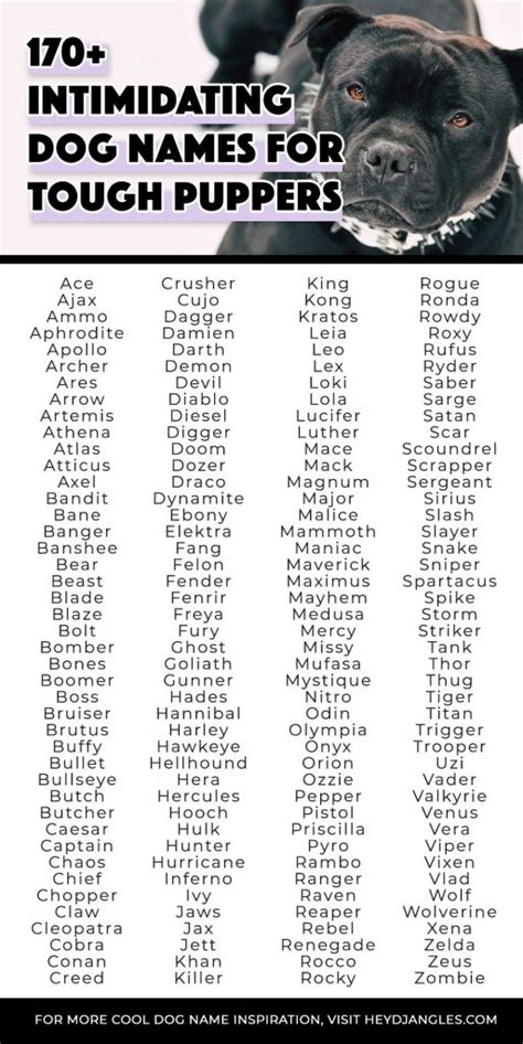 170 Intimidating Dog Names For Tough Puppers Hey Djangles