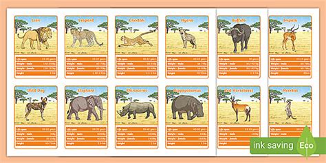 African Animal Top Cards Game Teacher Made Twinkl