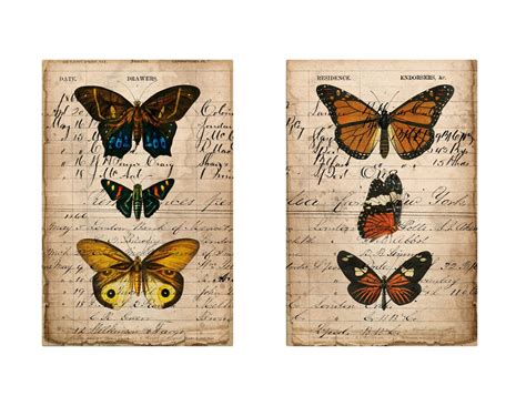 Printable Butterfly Ledger Pages For Junk Journals Etsy