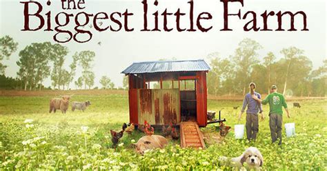 The biggest little farm is available to stream on hulu. Back to basics met The Biggest Little Farm in Movies & Series!