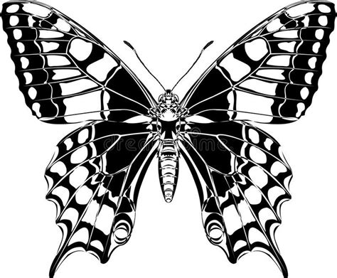 Swallowtail The Vector Stylized Drawing Of The Butterfly With The