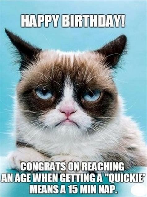 Really, 40 kids is enough. 101 Funny Cat Birthday Memes for the Feline Lovers in Your ...
