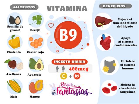 Las Vitaminas Alimentos Beneficios E Infografías Para Primaria