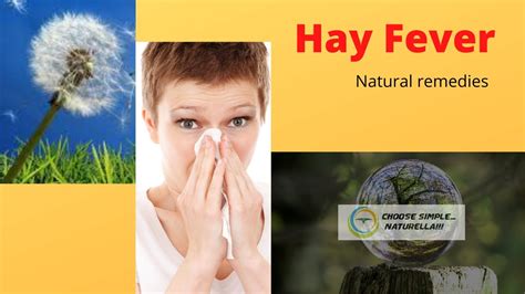 Hay Fever Natural Remedies Youtube