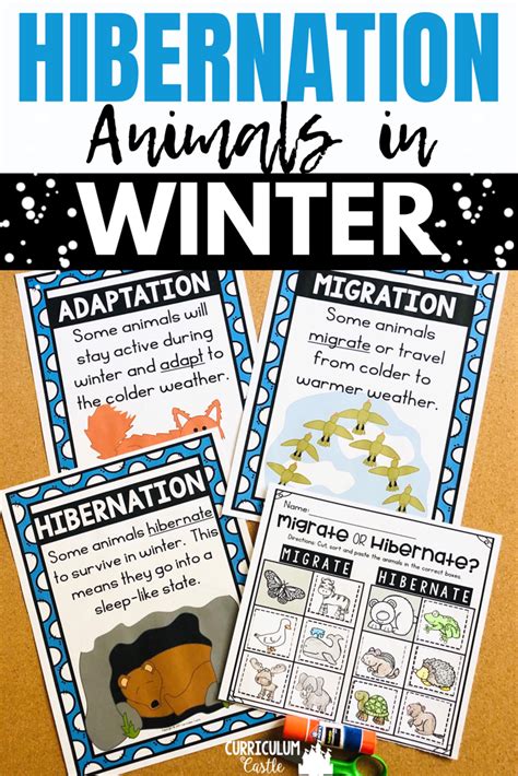 Hibernation Activities For Kids Hibernation Activities Winter
